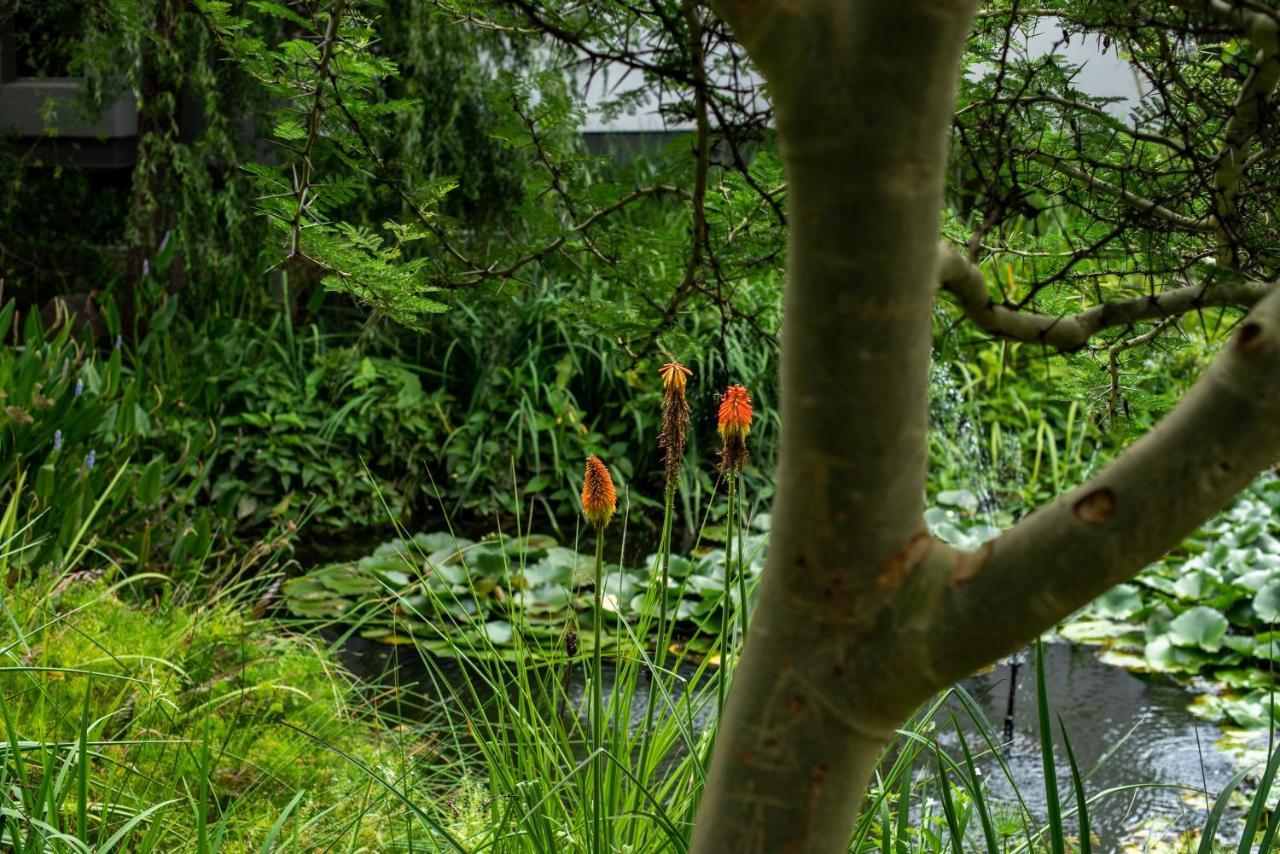 Seven Villa Hotel&Spa Johannesburg Esterno foto The pond at the entrance to the house