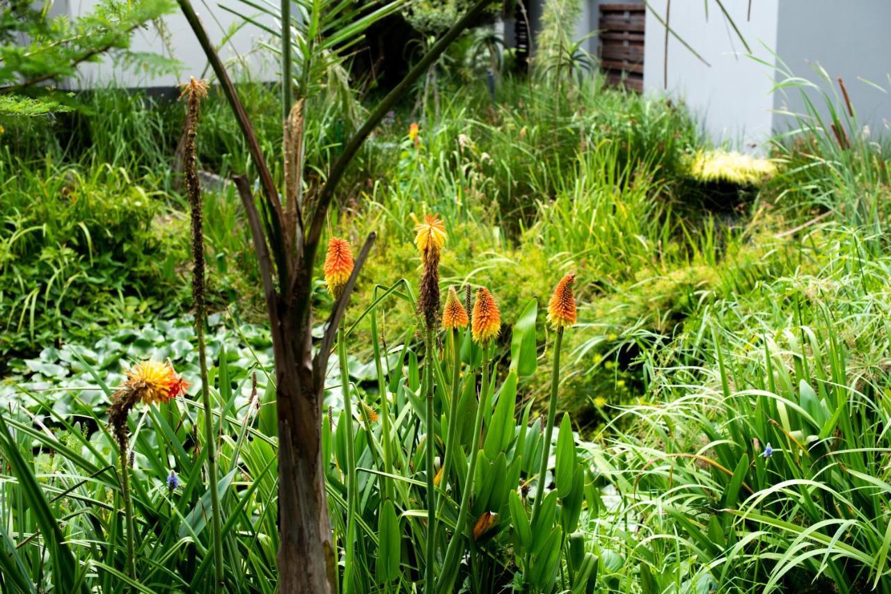 Seven Villa Hotel&Spa Johannesburg Esterno foto A view of the garden